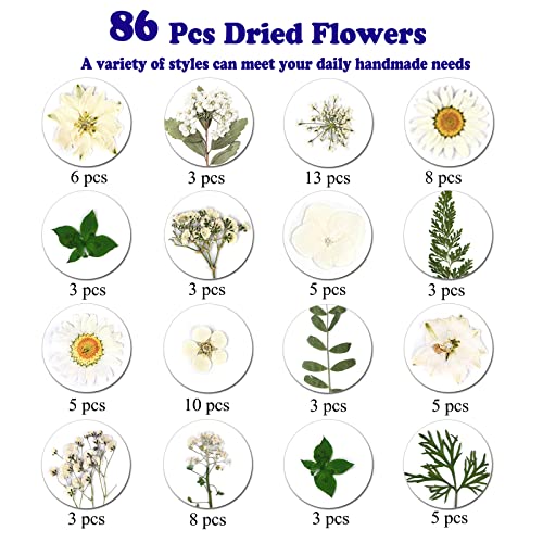 86Pcs White Pressed Dried Flowers Real Natural Leave for DIY Resin Molds Candle Jewelry Nail Crafts Gifts - color: White
