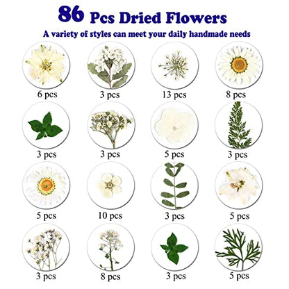 86Pcs White Pressed Dried Flowers Real Natural Leave for DIY Resin Molds Candle Jewelry Nail Crafts Gifts - color: White