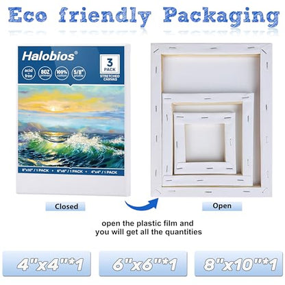 Halobios Stretched Canvases for Painting with 4x4 Inch, 6x6 Inch, 8x10 Inch, 3 Packs Pinting Blank Canvases for Acrylics,Oils & Other Painting Media, 5/8 Inch Profile 100% Cotton Artist Framed Canvas - size: 3 Pack Mixed - 8×10IN 6×6IN 4×4IN