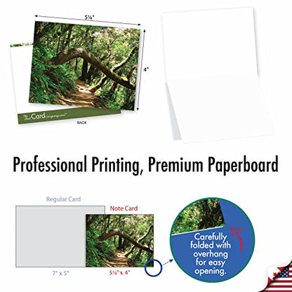 Best Card Co Box of 10 All Occasion Cards Blank (4 x 5.12 Inch) Scenic Landscape Cards Assorted Nature Trails for Men and Women M6467OCB-NB - style: Nature Trails