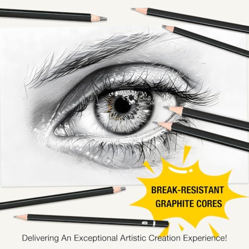 SAYEEC Professional Drawing Sketching Pencil Set, 12 Pieces Graphite Pencils (14B-4H), Art Sketch Pencils with Metal Case Artist Pencil for Drawing Art, Sketching, Shading, Adults Beginners (Black)