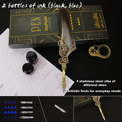 Aifeiter Feather Pen ink Set,Calligraphy Pen Set,Includes:Quill Pen,2 Bottles of Color ink,2 in one Holder,4 Stainless Steel Nibs,Black Gift Box-Grey - color: Grey1