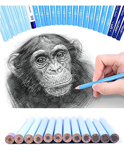 YYMIYU 24 Drawing Pencils Set, Art Sketching Pencils Charcoal Set 14B,12B,11B,10B,9B,8B,7B,6B,5B,4B,3B,2B,B,HB,H,2H,3H,4H,5H,6H,& Soft Neutral Hard Charcoal Pencils - style: 24 Drawing Pencils Set