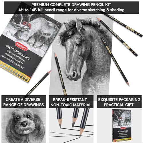 PANDAFLY Drawing Sketch Pencil Set, 16 Piece, 4H to 14B Graphite Pencils | Includes Erasers and Pencil Sharpener, Pro Art Pencil Kit for Drawing, Sketching, Shading, Ideal for Artists and Beginners