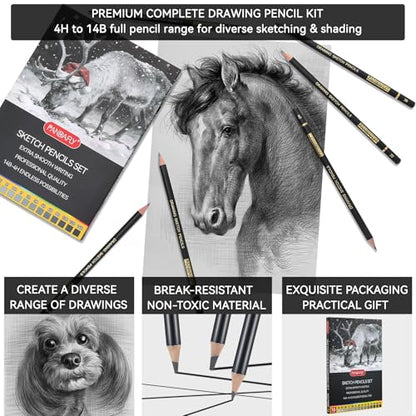 PANDAFLY Drawing Sketch Pencil Set, 16 Piece, 4H to 14B Graphite Pencils | Includes Erasers and Pencil Sharpener, Pro Art Pencil Kit for Drawing, Sketching, Shading, Ideal for Artists and Beginners