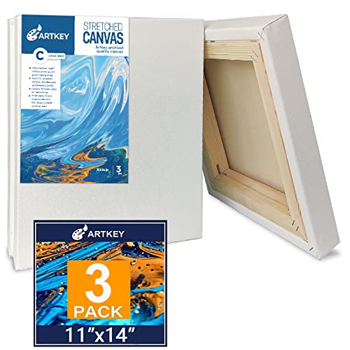 Gallery Wrapped Stretched Canvases for Painting 11x14 Inch 3-Pack, 16 oz Triple Primed Acid-Free 100% Cotton Blank Canvas, Rectangular Spline Canvas for Oil Paint Acrylics Pouring & Wet Art Media - size: 11"x14"(3-Pack), style: Exhibition