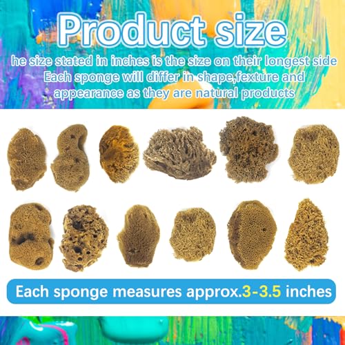 Natural Sea & Synthetic Sponges - Assorted Sizes 12pc Value Pack for Crafts & Artists: Multi - Purpose Art Supply for Professional Painting, Ceramics, Clay & Pottery Projects (12)