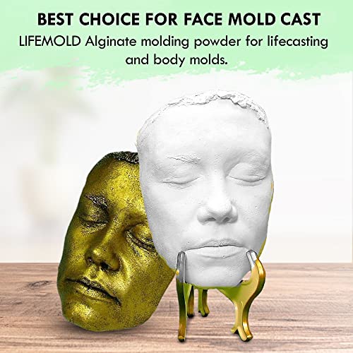 LifeMold Alginate Molding Powder for Hand Casting, Life Casting, Baby Molding Kit, Couples Casting - Non-Toxic Casting - 1lb (454g)