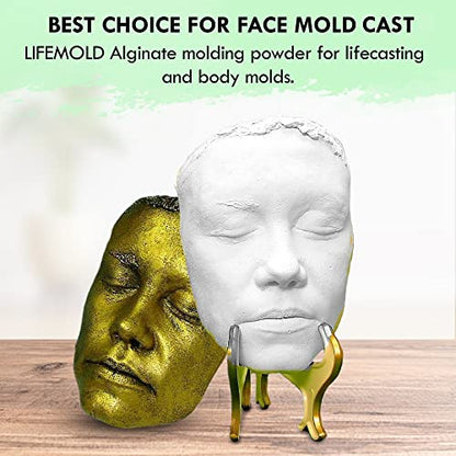 LifeMold Alginate Molding Powder for Hand Casting, Life Casting, Baby Molding Kit, Couples Casting - Non-Toxic Casting - 1lb (454g)