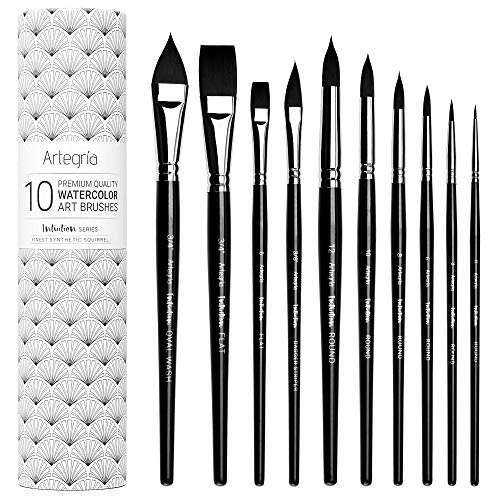 ARTEGRIA Watercolor Brush Set, 10 Professional Soft Synthetic Squirrel Paint Brushes, Including Pointed Rounds, Flats, Dagger, Oval Wash - color: Black - 10pcs
