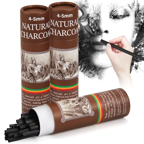 Gueevin 50 Pcs Willow Charcoal Sticks, Willow Charcoal, Artists, Beginners, Students, Perfect for Sketching, Drawing, Shading, and Fine Back to School Christmas Art Gifts (4-5mm) - size: 4-5mm