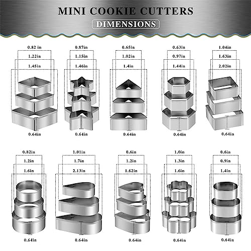 Mini Cookie Cutters Set with Box, QtoiKce 30Pcs Small Stainless Steel Flower Square Heart Round Star Triangle Oval Shapes Cookie Cutters, Mini Polymer Clay Cutters for Kids