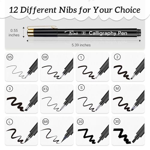 APOGO Calligraphy Pen Set for Beginners, 12 Size Calligraphys Pens for Writing, Hand Lettering Pens for Adults, Brush Pens for Art Drawing, Sketching, Scrapbooking, Journaling, Signing