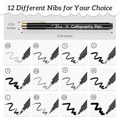 APOGO Calligraphy Pen Set for Beginners, 12 Size Calligraphys Pens for Writing, Hand Lettering Pens for Adults, Brush Pens for Art Drawing, Sketching, Scrapbooking, Journaling, Signing