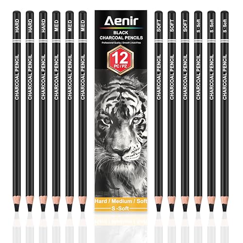 Aenir Charcoal Pencils for drawing, Set of 12, Charcoal Drawing Pencils (S-Soft, Soft, Medium, Hard), Art Supplies for Artist, Sketching, Shading - color: Black