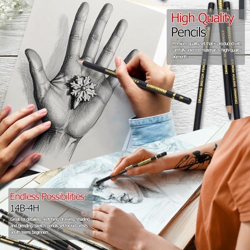 PANDAFLY Drawing Sketch Pencil Set, 16 Piece, 4H to 14B Graphite Pencils | Includes Erasers and Pencil Sharpener, Pro Art Pencil Kit for Drawing, Sketching, Shading, Ideal for Artists and Beginners