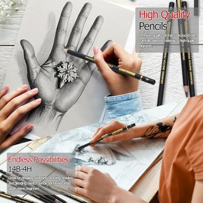 PANDAFLY Drawing Sketch Pencil Set, 16 Piece, 4H to 14B Graphite Pencils | Includes Erasers and Pencil Sharpener, Pro Art Pencil Kit for Drawing, Sketching, Shading, Ideal for Artists and Beginners