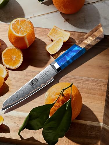 HOSHANHO Damascus Paring Knife 4 Inch, 67-Layer Damascus Steel Professional Small Kitchen Knives, Ultra Sharp Fruit Knife with Ergonomic Blue Resin Stabilized Wood Handle and Wood Gift Box - size: 4"
