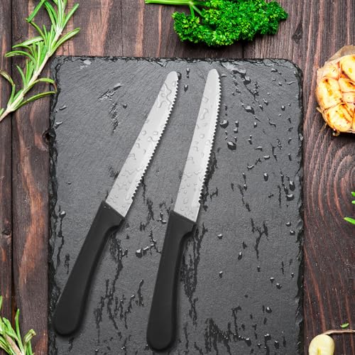 36 PCS Steak Knife Set - Stainless Steel Steak Knifes 8.7 Inch with Dishwasher Safe Steak Knoves,Metal Steak Knife,Dinner Knife Silverware for Home,Kitchen or Restaurant - size: 36PCS Steak Knife