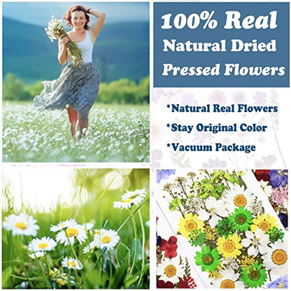 84 Pcs Green Dried Pressed Flowers Real Natural Leave for DIY Resin Molds Candle Jewelry Nail Crafts Gifts - color: Green