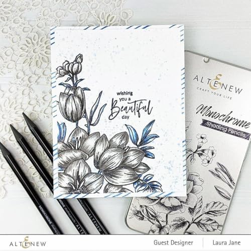 Altenew Monochrome Shading Pencils, 5 Woodless Graphite Pencils for Drawing, Sketching, Shading, Art Pencils 2H, HB, 4B, 6B, 10B with Metal Case