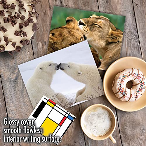 The Best Card Company - 10 Adorable Note Cards Blank (4 x 5.12 Inch) - Wildlife and Animal, Assorted Boxed Set - Animal Smackers M6594OCB - style: Animal Smackers