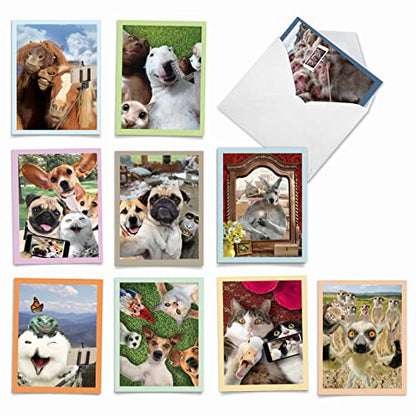 Best Card Co 10 Adorable Note Cards Blank (4 x 5.12 Inch) Wildlife and Animal Cards, Assorted Boxed Set Animal Selfies for Animal Lovers M2373OCB-NB - style: Animal Selfies