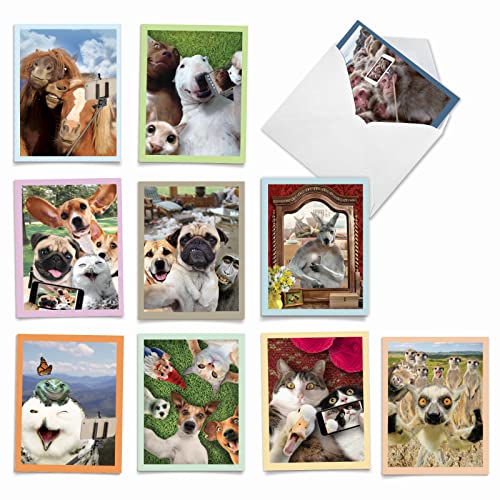 Best Card Co 10 Adorable Note Cards Blank (4 x 5.12 Inch) Wildlife and Animal Cards, Assorted Boxed Set Animal Selfies for Animal Lovers M2373OCB-NB - style: Animal Selfies