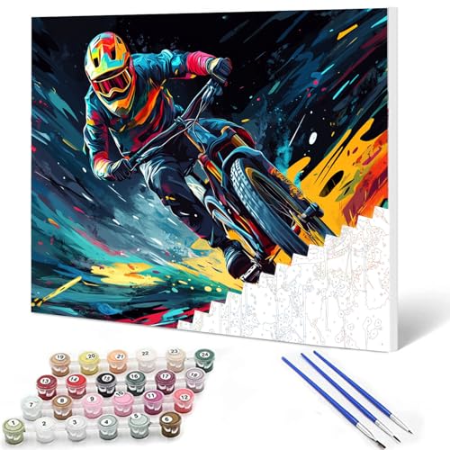 Aihonmin Paint by Numbers Kits 16 x 20 Canvas DIY Oil Painting for Students, Adults Beginner with Brushes & Acrylic Pigment - Mountain Bike Racing(Frameless) Arts Craft Gift for Man's Car Lover - color: Car Lovers-05, size: 16''x20''(Frameless)