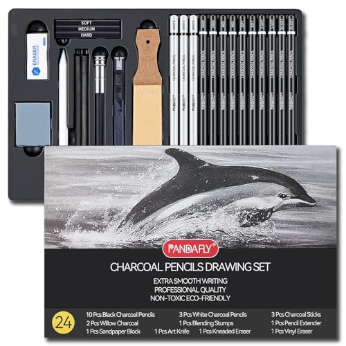 PANDAFLY 24 Pcs Professional Charcoal Pencils Drawing Set, Black & White Charcoal Pencils for Drawing Sketching Shading Blending, Charcoal Drawing Set for Beginners & Pro Artists - color: Black, size: 1 Count (Pack of 24)