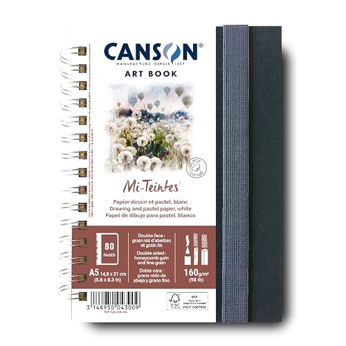 Canson Mi-Teintes White Art Book, 5.8x8.3 inches, 80 Sheets, Blue Cloth Hardcover, Side Wire - Professional Artist Notebook for Sketching, Drawing - style: Spiral