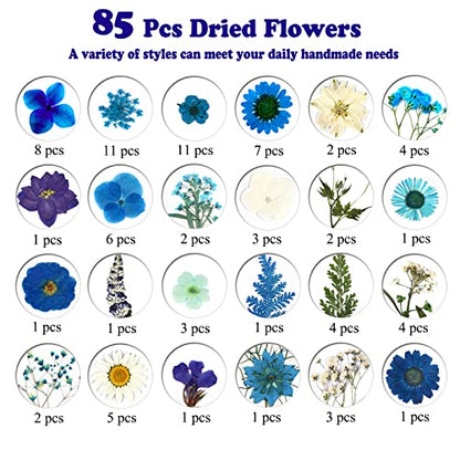 85 Pcs Blue Pressed Dried Flowers for Resin Molds, Real Natural Flowers Leaves Bulk for DIY Art Nail Crafts, Jewelry, Candle, Soap Making - color: Blue