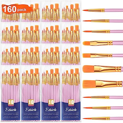 ESRICH Acrylic Paint Brushes Set, 16 Packs/160 Pcs, Pink, Suitable for Acrylic, Oil, Watercolor,Rock Body Face Nail Art,Perfect Suit of Art Painting, Best Gift for Kids Adult Drawing - color: Pink, size: 160