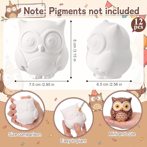 Ferrochef 12 Pack Paint Your Own Ceramic Owl DIY Craft Kits Unpainted Ceramic Owl Bisque 3D Paintable Animal Figurines Art DIY Party Favors for Home, Classroom Birthday Parties - style: Owl