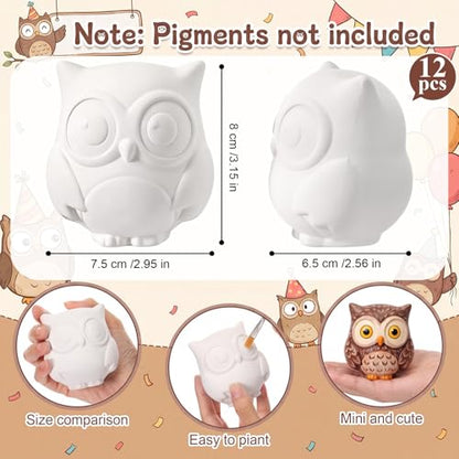 Ferrochef 12 Pack Paint Your Own Ceramic Owl DIY Craft Kits Unpainted Ceramic Owl Bisque 3D Paintable Animal Figurines Art DIY Party Favors for Home, Classroom Birthday Parties - style: Owl