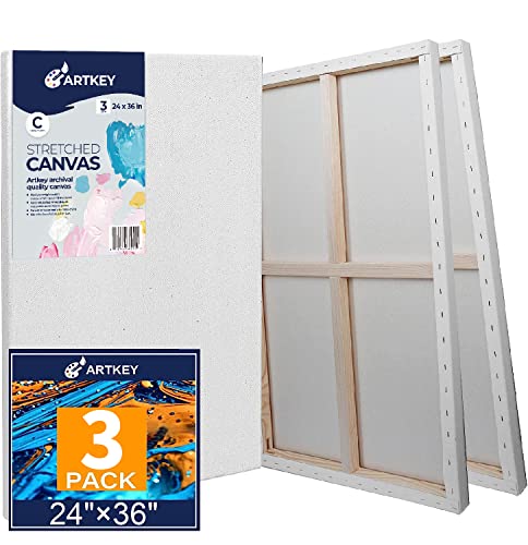 Stretched Canvases for Painting 24x36 Inch 3-Pack, 12.3 oz Triple Primed Acid-Free 100% Cotton Blank Canvas, Large Art Canvases for Oil Paint Acrylics Pouring & Wet Art Media, Pour Painting - size: 24"x36"(3-Pack), style: Studio