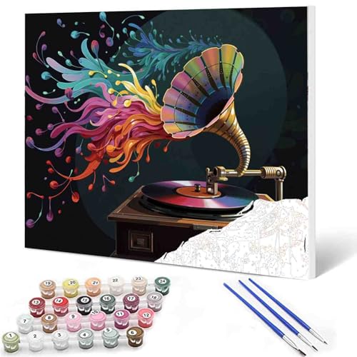 Aihonmin DIY Paint by Numbers,Horn Music Disk,Colorful Canvas Oil Painting Kit for Kids & Adults,16X20 inches Drawing Paintwork Acrylic Pigment,for Home Living Room Decorative Painting Frameless - color: Music-09, size: 16''x20''(Frameless)