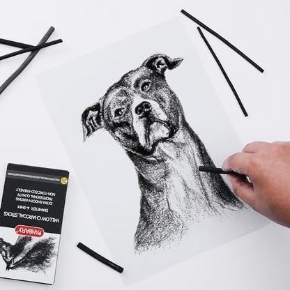 PANDAFLY Willow Charcoal Sticks, Soft, 5-7mm, 25 Pack, Black Artist Vine Charcoal, For Artists, Beginners, Students, Ideal for Sketching, Drawing, Shading, Fine Art - size: 5-7mm