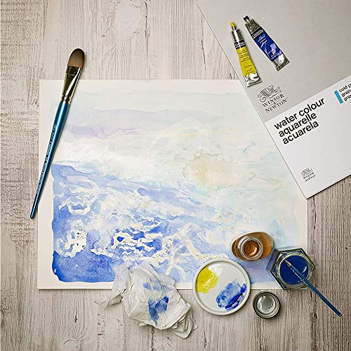 Winsor & Newton Cotman Watercolor Paint, 8ml (0.27-oz) Tube, Hooker's Green Light - color: Hooker's Green Light, style: 0.27-oz Tube