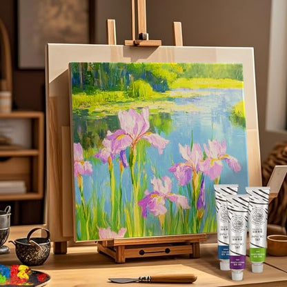 Paul Rubens Oil Paint, 20 Basic Colors*170 ml LargeTubes, Professional Oil Based Paint with High Saturation, Creamy Texture, and Consistency,Art Supplies for Artists, Students, Beginners - color: 20 colors*170ml-B