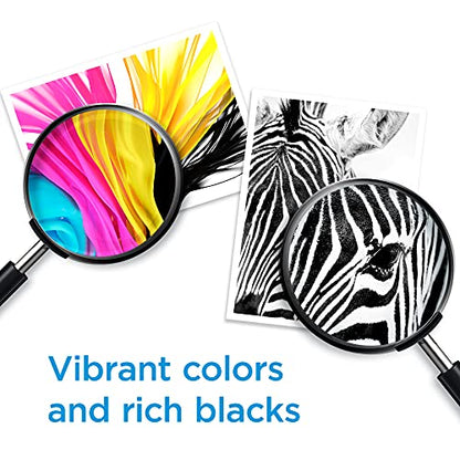 HP 64 Black & Tri-Color Ink Cartridges Printers (Combo Pack) | Works with Printer Series: Inspire 7950e; Envy Photo 6200, 7100, 7800; Tango | Eligible for Instant Ink | X4D92AN - style: Black + CMY