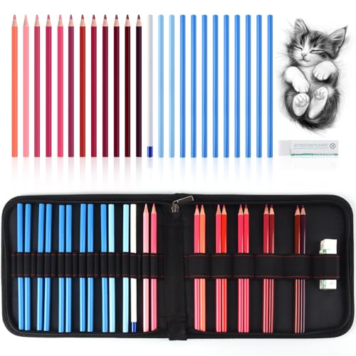 Mifuner Professional Drawing Set, 12 Colored Pencils & 12 Graphite Pencils with Eraser & Case, Art Supplies for Sketching Shading Blending, Gifts for Artists Adults Beginners.Red Black - color: Set-Red