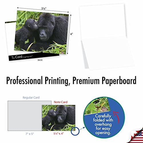 The Best Card Company - 10 Adorable Note Cards Blank (4 x 5.12 Inch) - Wildlife and Animal, Assorted Boxed Set - Animal Smackers M6594OCB - style: Animal Smackers
