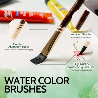 Watercolor Brushes, 12 Pieces Squirrel&Nylon Blend Hair Paint Brush for Artists Shed Resistant Pointed Round, Flat, Dagger, Cat's Tongue Professional Set for Watercolor, Gouache, Acrylic