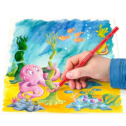 Staedtler Watercolor Pencils, Box of 12 Colors (14410NC12)