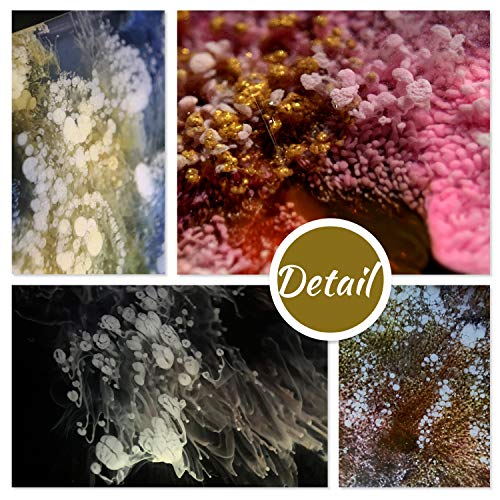 White & Black Alcohol Ink Set - 4 Ounce White and Black Alcohol-Based Inks for Adult Hobby, Resin Petri Dish Making, Epoxy Resin Crafts, Yupo Paper - Alcohol Paint Color Dye for Resin Art, Tumbler