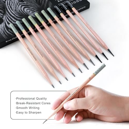 KALOUR 28 Pro Sketching Drawing Pencils Set – 14 Graphite Pencils (14B–5H), Charcoal Pencils, Erasers, Sharpener & Stumps – Complete Art Kit for Artists & Beginner