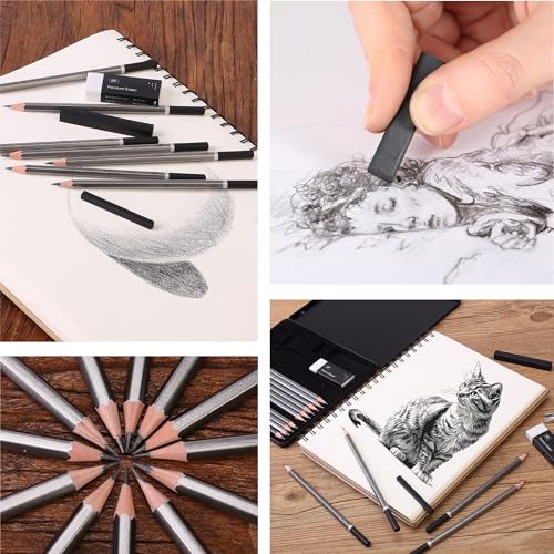 Mr. Pen- Drawing Sketching Pencil Set, 19 pcs, Graphite Pencils (10B-6H) | Graphite Sticks, Erasers, Metal Sharpener, for Drawing, Sketching, Shading & Art Projects - size: 19 pcs