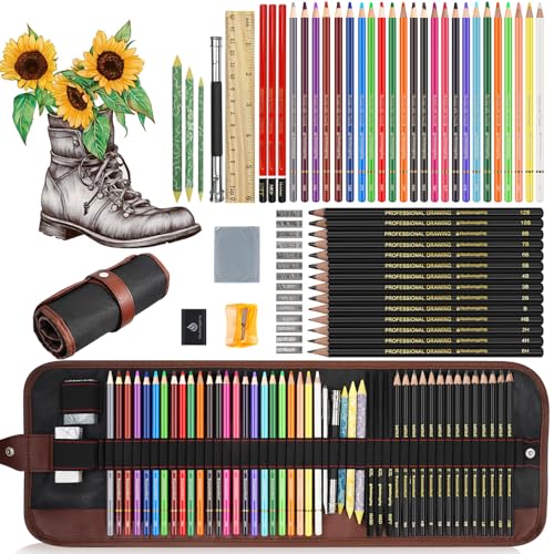 Heshengping Sketching Drawing Art Pencil Kit-50 Piece Set with 24 Color Pencils for Coloring Books, 14 Graphite 3 Charcoal Erasers Etc., Artist Supplies Ideal for Adult, family friend, Beginner - size: 50 Piece Set