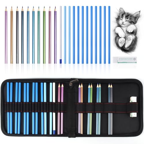 Mifuner Professional Drawing Set, 10 Colored Pencils & 12 Graphite Pencils with Eraser & Case, Art Supplies for Sketching Shading Blending, Gifts for Artists Adults Beginners.Metallic Black - color: Set-Metallic